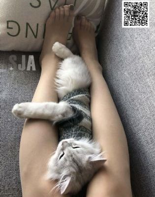 北岛玲heyzo一区二区_剧情片电影在线观看