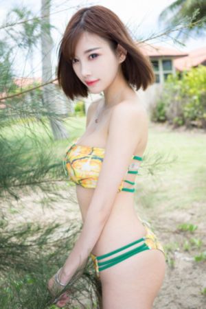 成人动画免费看_DVD免费观看超清